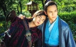 国产多毛视频,探索毛发艺术的独特魅力