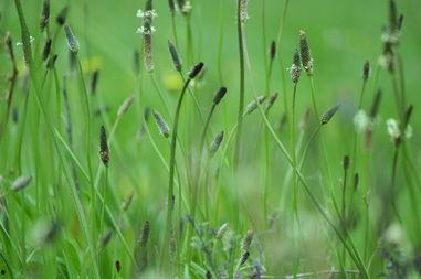 cao国产,历史、文化与现代发展的交融画卷
